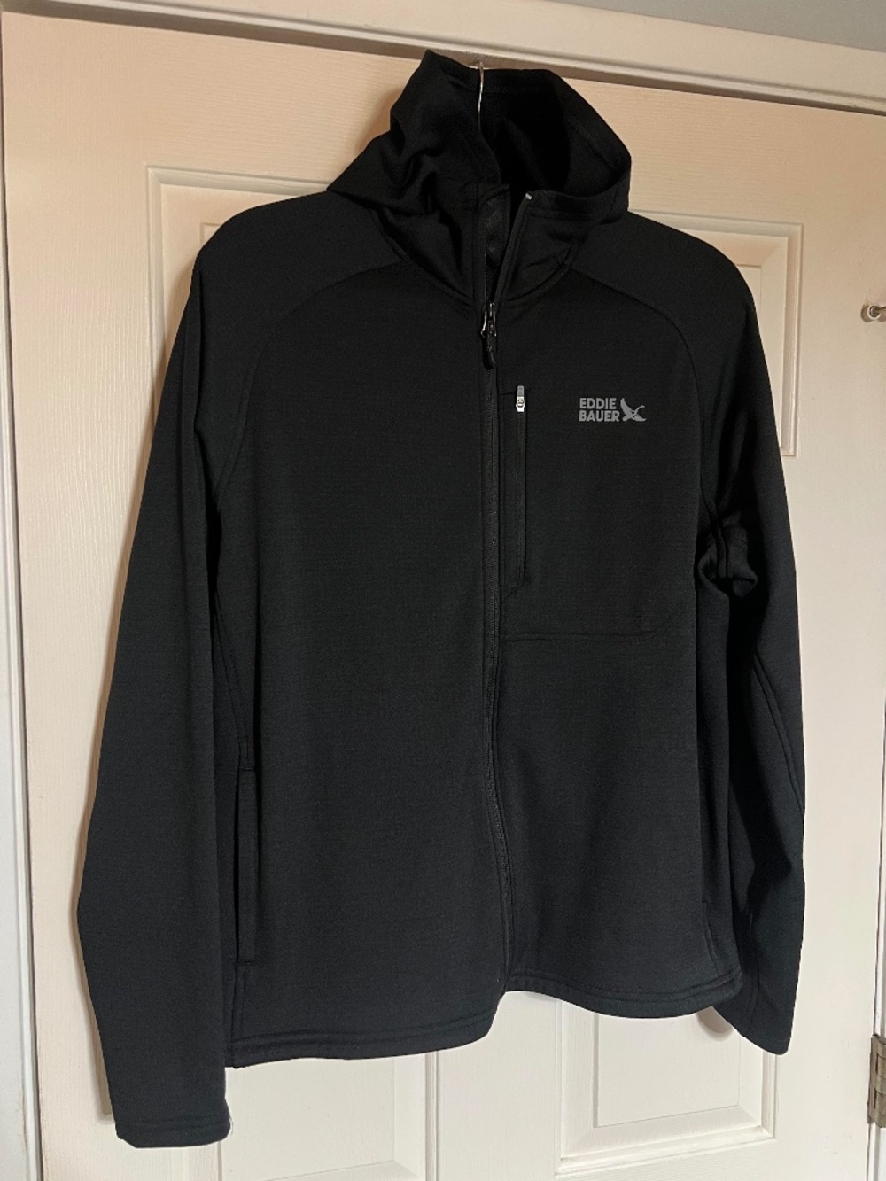 Men's Eddie Bauer High Route Grid Hooded Fleece